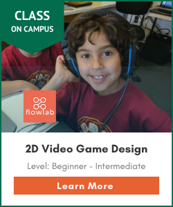 2D Video Game Design Online class beginner through intermediate